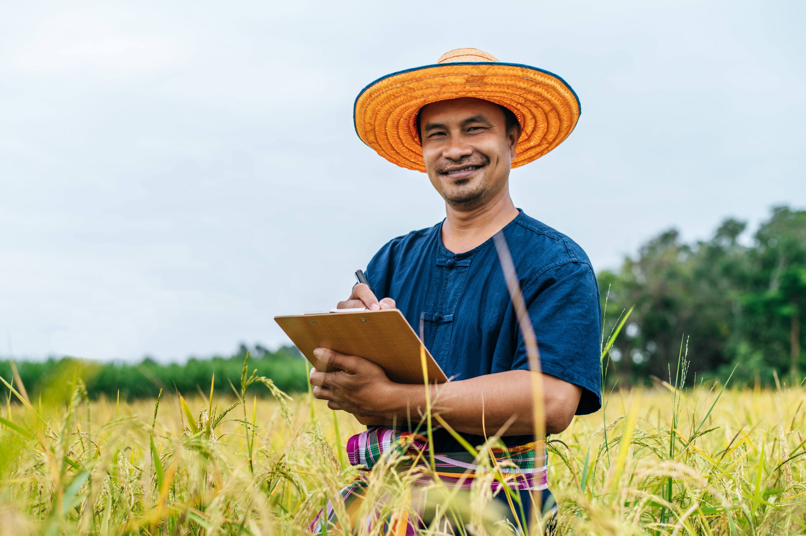 Asian middle aged farmer man wearing straw hat write on clipboard in rice field with smile during keep data with Smart farming Agriculture technology and organic agriculture