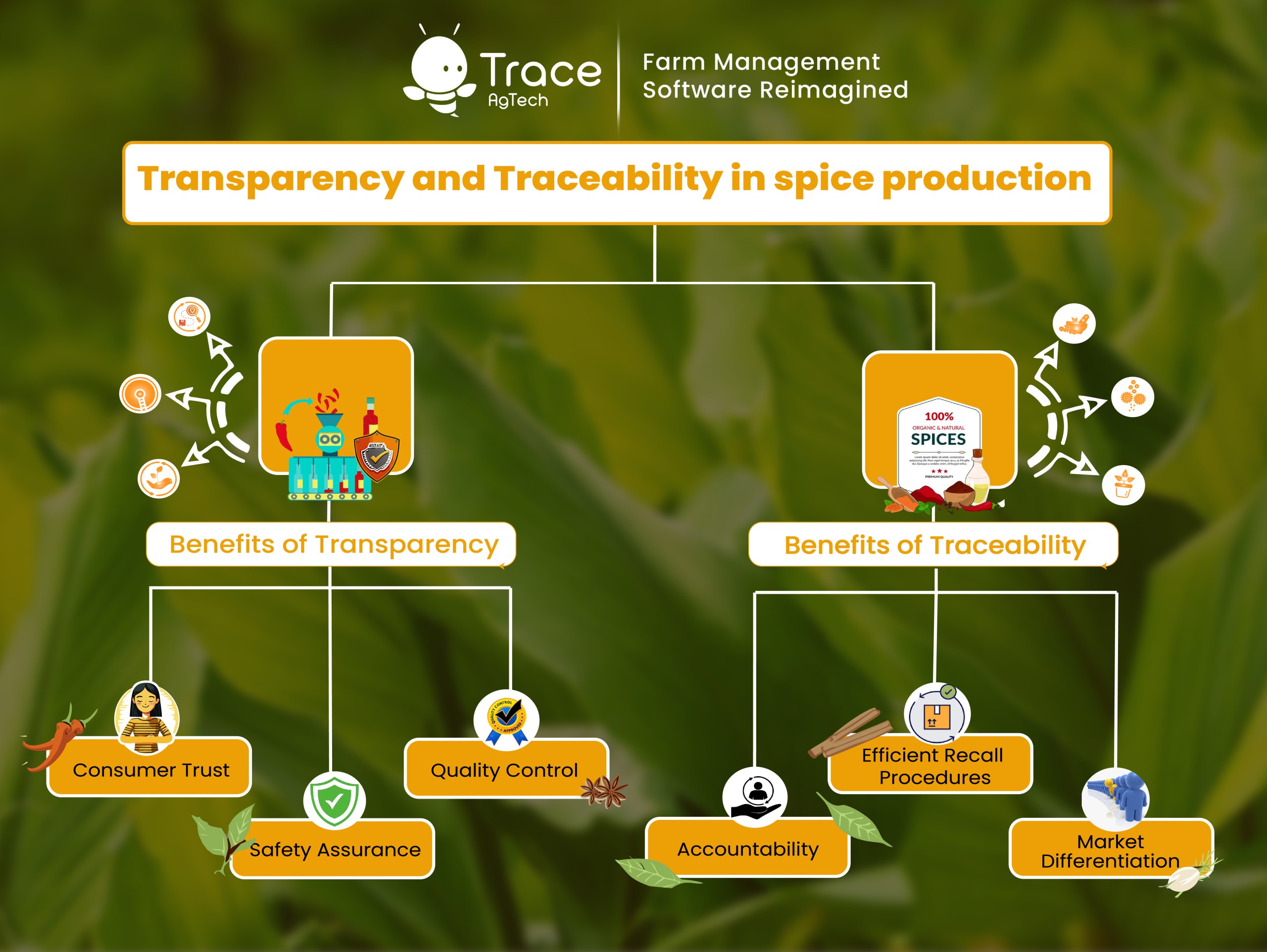 Transparency and Traceability in spice production 
