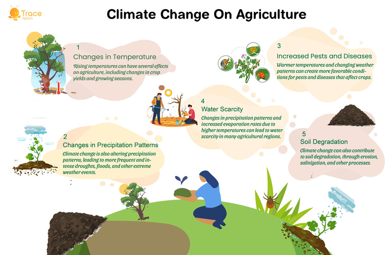 Climate change in agriculture