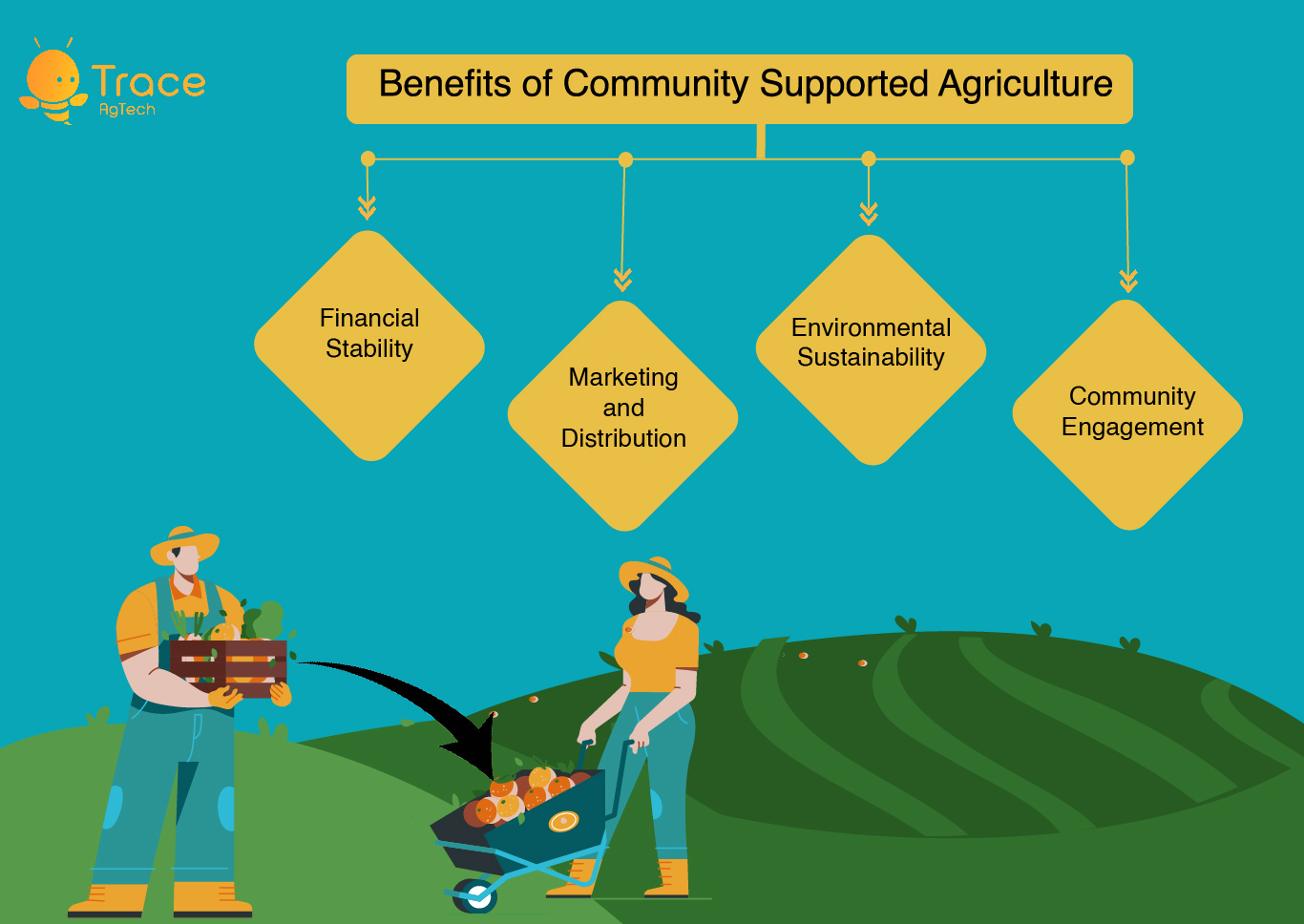 Benefits of Community Supported Agriculture