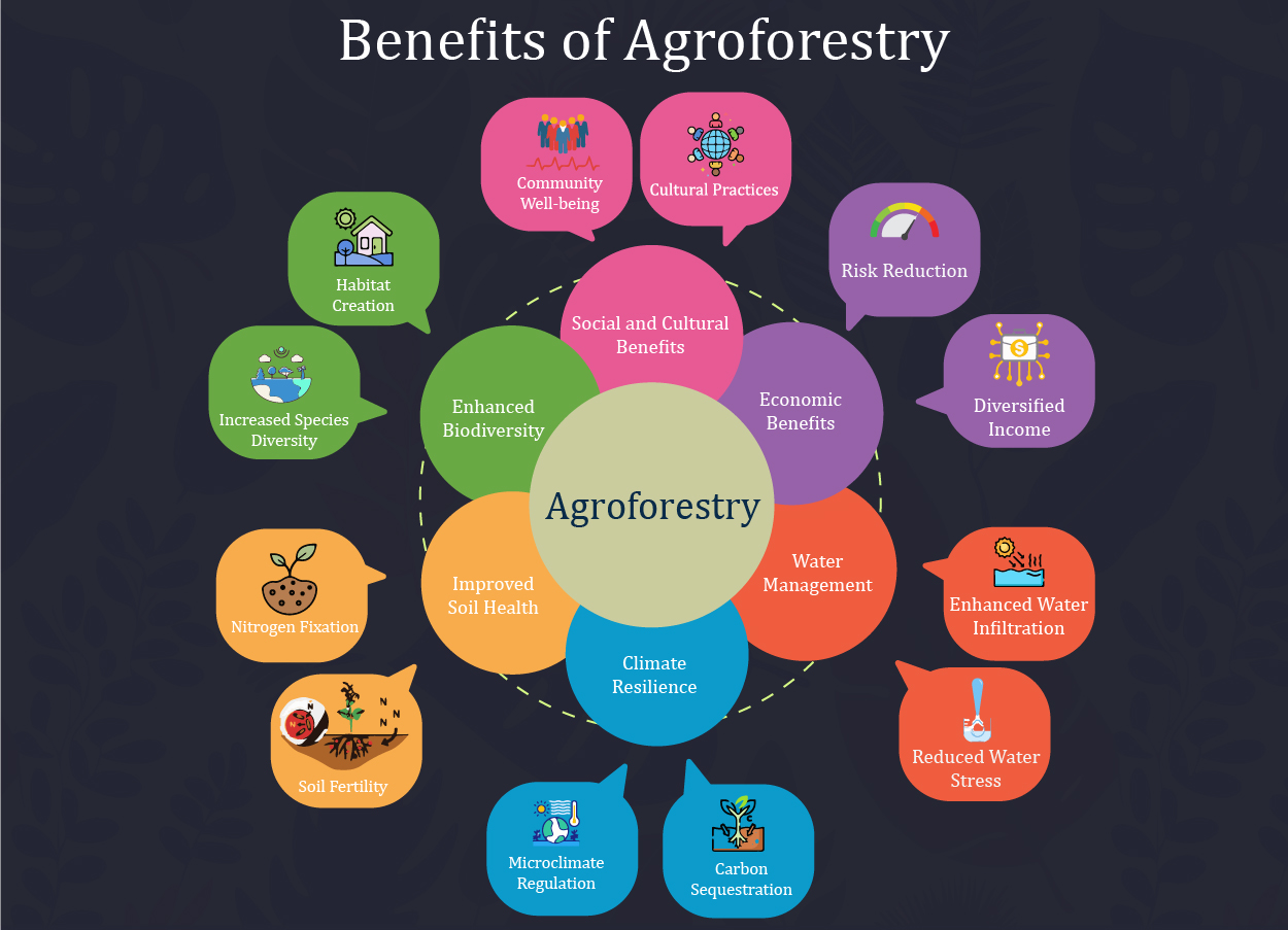 Benefits of Agroforestry 