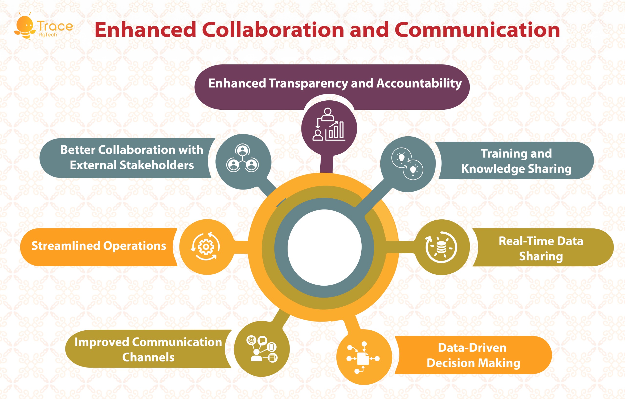 Enhanced collaboration and transparency 