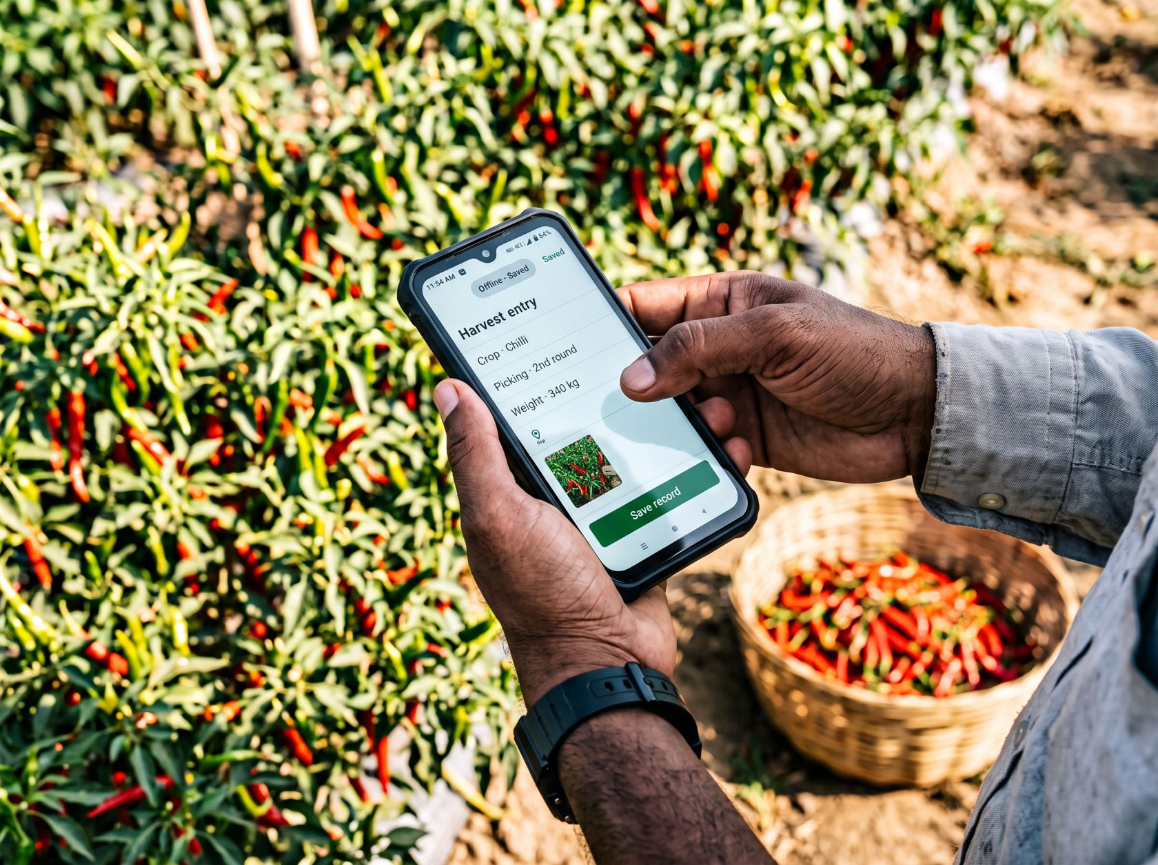 Field officer mapping a chilli plot boundary with GPS on a mobile phone